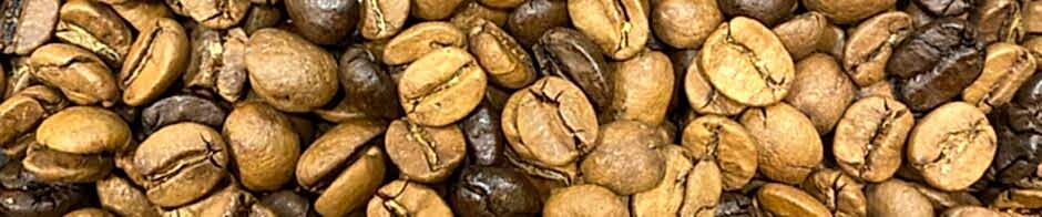 Han Kurukahvecisi 1912